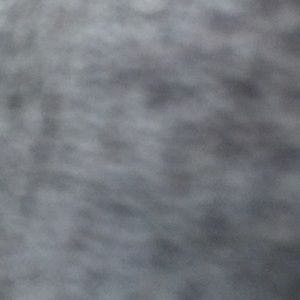 Meet your Posher, Daisy